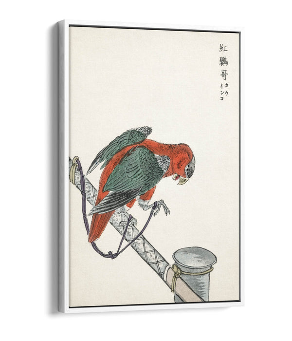 Canvas Wall Art - Macaw Float Effect Canvas Art Print | Handmade UK