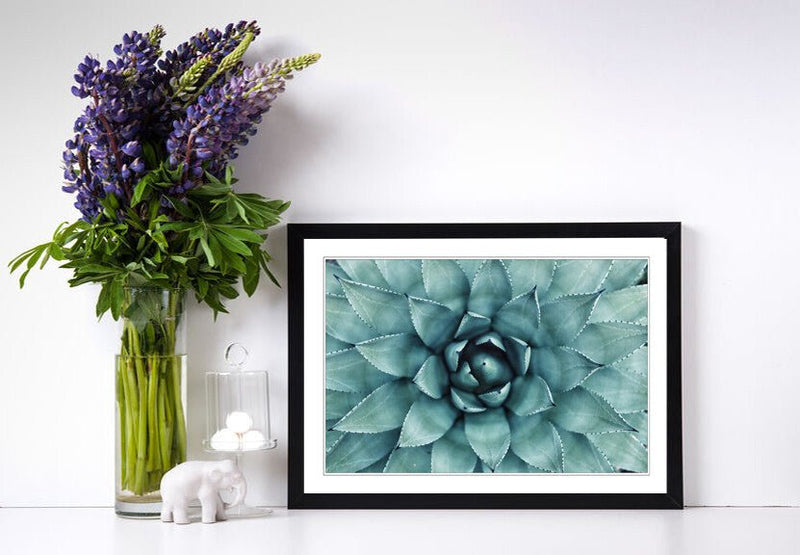 Canvas Wall Art – Framed Green Succulent Plant Poster With Scratch Resistant Finish