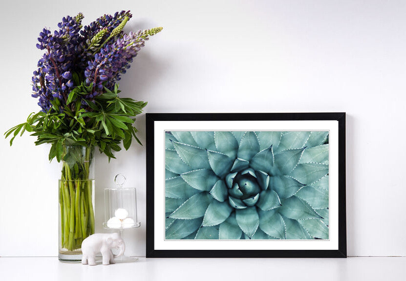 Canvas Wall Art – Framed Green Succulent Plant Poster With Scratch Resistant Finish