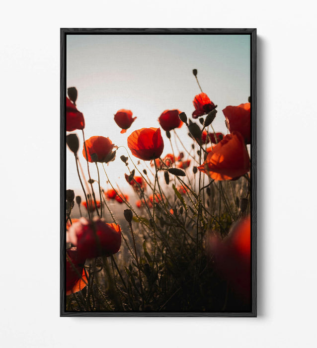 RED POPPIES FLOWER FIELD -FLOAT EFFECT CANVAS ART PRINT- PHOTOGRAPHY