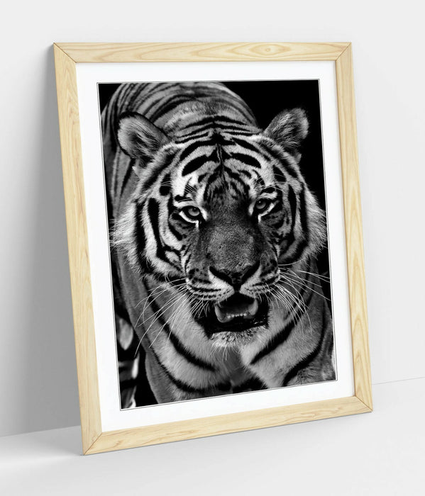 TIGER BLACK AND WHITE -FRAMED ART POSTER PAINTING PRINT 4 SIZES