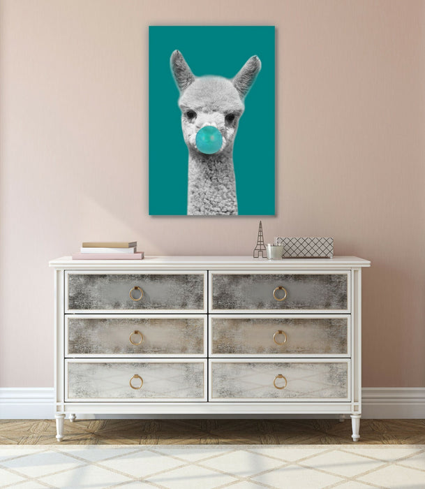 Canvas Wall Art - Baby Alpaca Black White Teal Vibrant Color Print Ready To Hang
