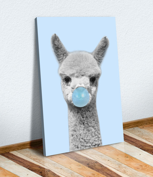 Canvas Wall Art Baby Alpaca Black White Blue Bubble Gum Print - Handmade, Ready to Hang