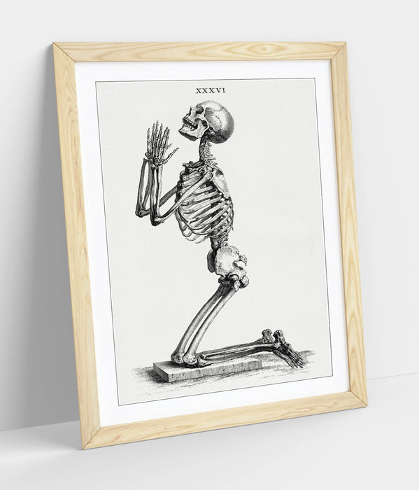 Framed Skeleton Wall Art – William Cheselden Praying Skeleton Poster Print in Wood Grain Frame
