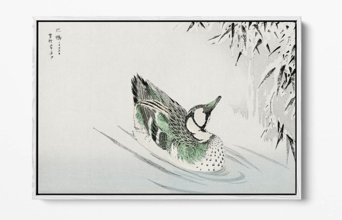 Canvas Wall Art - Numata Kashu Spectacled Teal Bamboo Float Effect Print on Premium Canvas