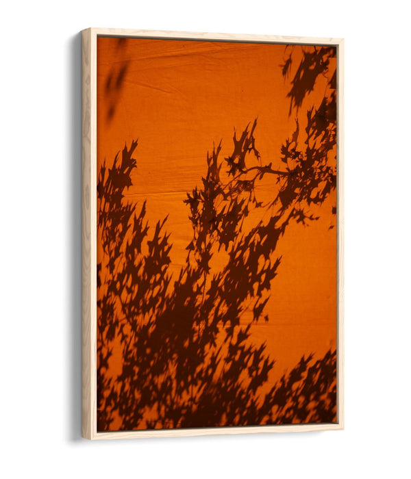 Canvas Wall Art Print - Orange Sunset Art With Tree Leaves Shadow | Float Effect Canvas