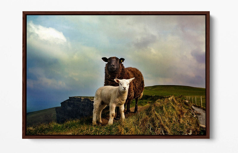 Canvas Wall Art - Irish Sheep Mountain Landscape | Handmade Float Effect Frame