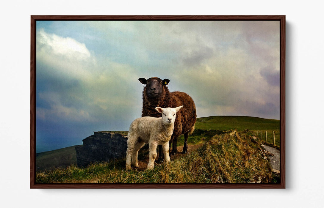 2 IRISH SHEEP MOUNTAIN LANDSCAPE HOME DECOR -FLOAT EFFECT CANVAS WALL ART PRINT