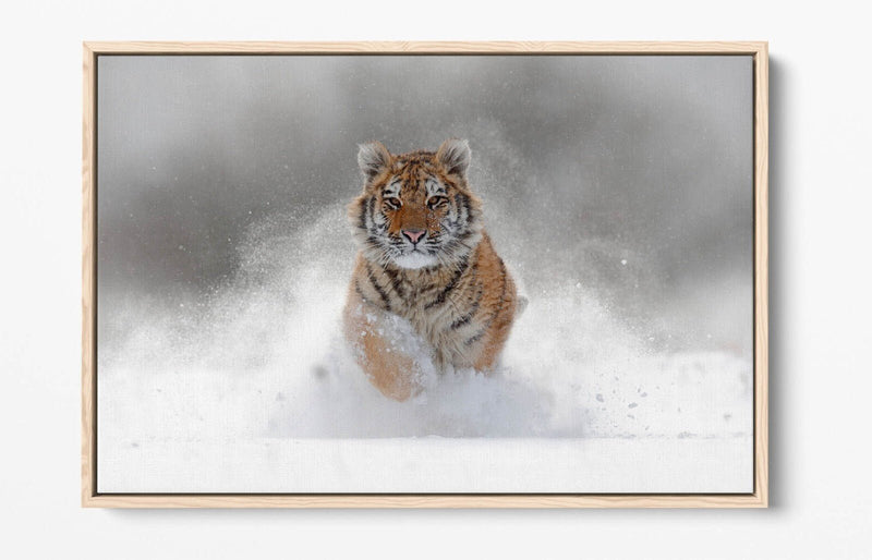 Tiger Canvas Wall Art – Running Tiger Artwork with Premium Float Frame | Handmade UK