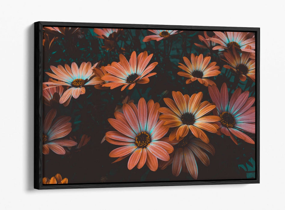 VINTAGE TEAL PEACH FLOWERS -FLOAT EFFECT CANVAS WALL ART PIC PRINT-