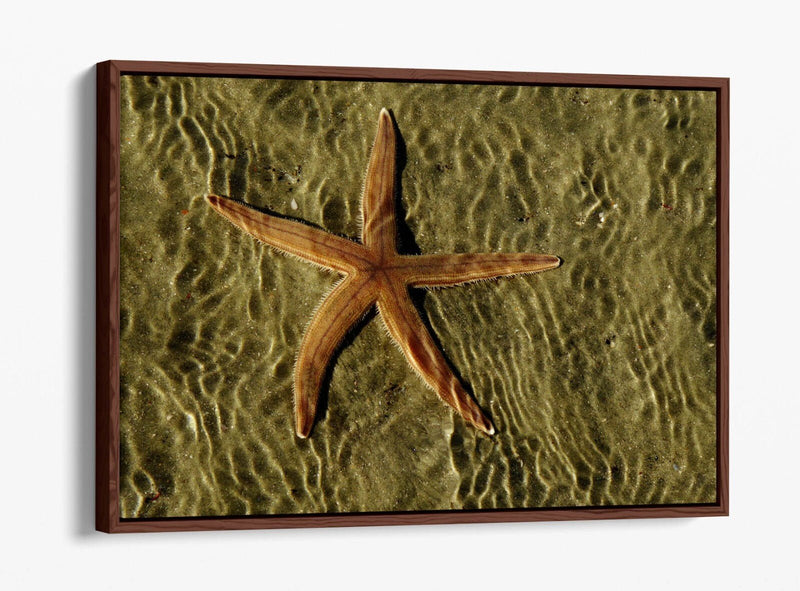 Canvas Wall Art - Starfish On Sand Float Effect Premium Handmade Print