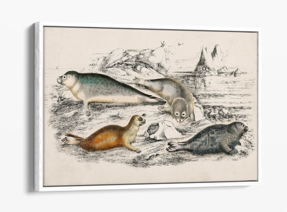 Canvas Wall Art Print - Handmade Canvas With Float Effect & Premium Frame