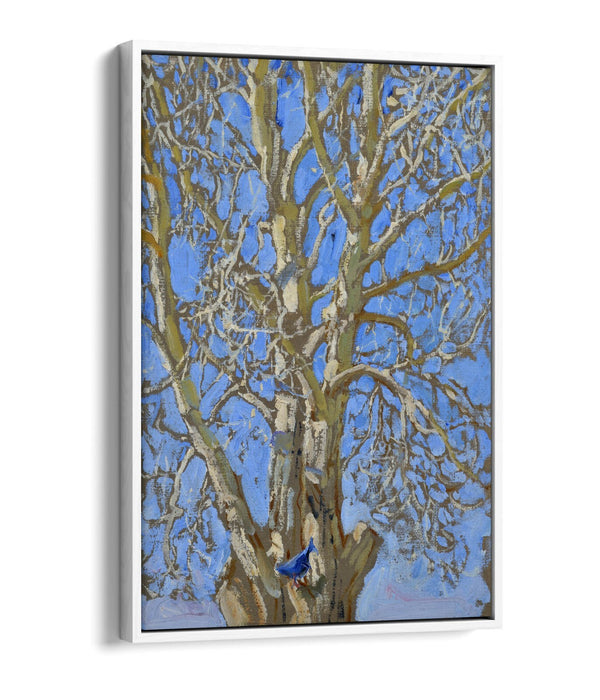 Float Effect Canvas Art - Handmade Bird Canvas Print With Premium 30mm Deep Frame