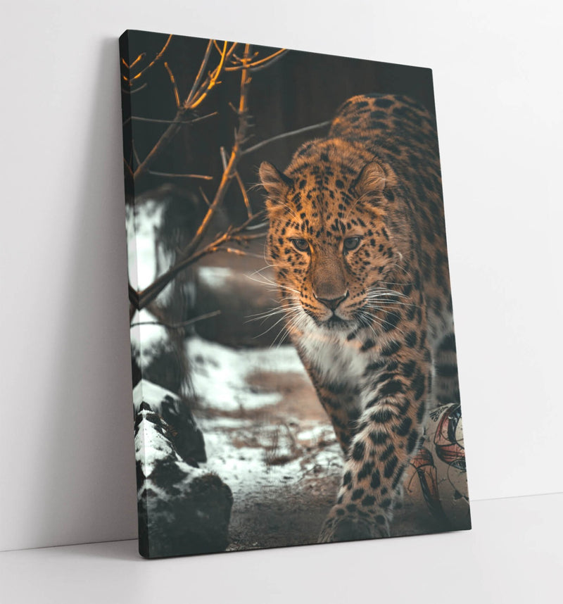 Snow Leopard Canvas Art - Close Up Animal Photo on Handmade UK Canvas Wall Artwork