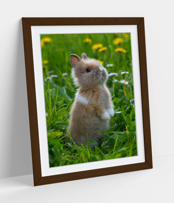 Bunny Wall Art – Framed Cute Rabbit Poster Print | Standing Rabbit Decor