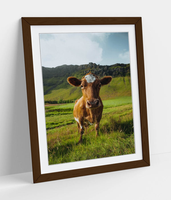 Framed Wall Art - Brown Cow In Green Field | Handmade UK Home Decor Print