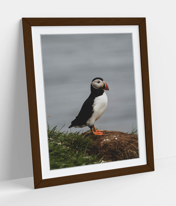 Puffin Wall Art - Framed Cliff Photography Print | UK Handmade Nature Decor