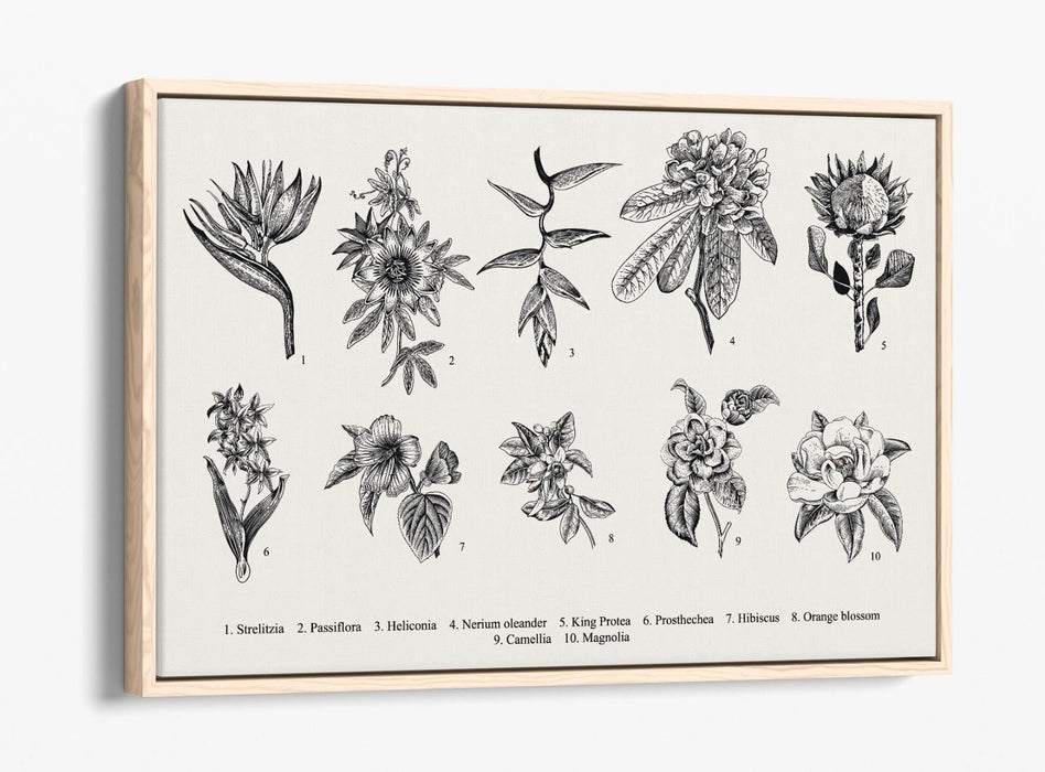 Canvas Wall Art - Flower Wall Decor With Float Effect Frame | Handmade UK Art