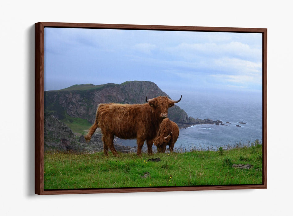 Canvas Wall Art - Highland Cows Coastal Landscape Print | Float Effect, Handmade