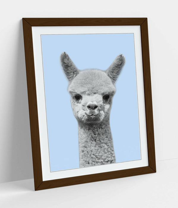 ALPACA BLACK WHITE BABY BLUE -FRAMED ART POSTER PICTURE PRINT ARTWORK