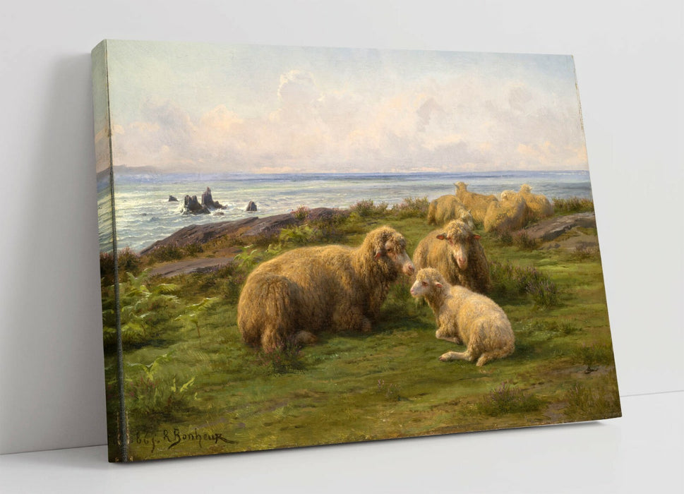 Canvas Wall Art | Handmade Canvas Print Featuring Sheep Seaside Painting - Ready To Hang