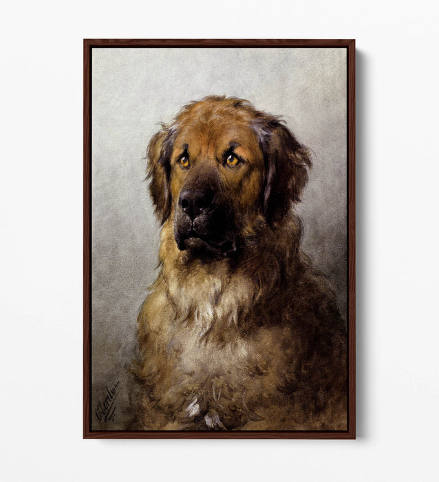 Canvas Wall Art – Otto Ereleman Head Of Leonberger | Premium Float Effect Print