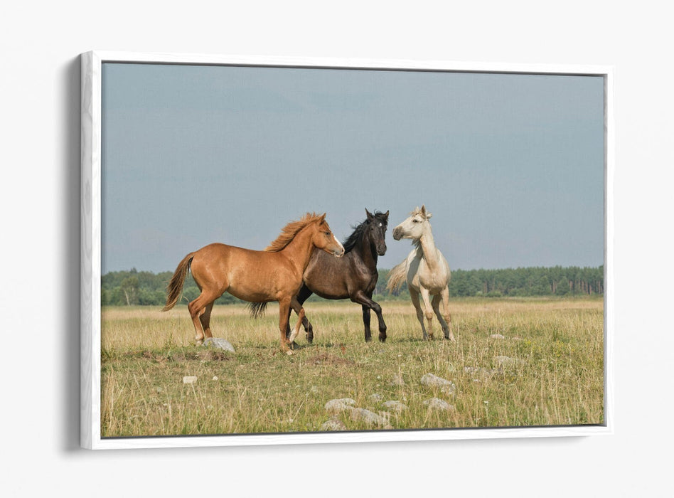 HORSES GALLOPING IN FIELD LANDSCAPE HOME DECO FLOAT EFFECT CANVAS WALL ART PRINT