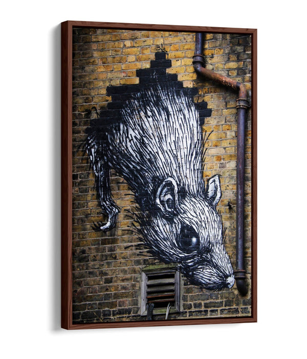 Rat Wall Art - Urban Graffiti Canvas Wall Art With Float Effect Frame