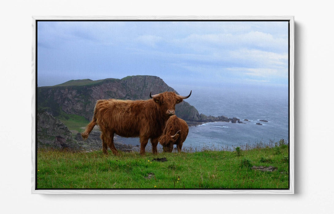 Canvas Wall Art - Highland Cows Coastal Landscape Print | Float Effect, Handmade