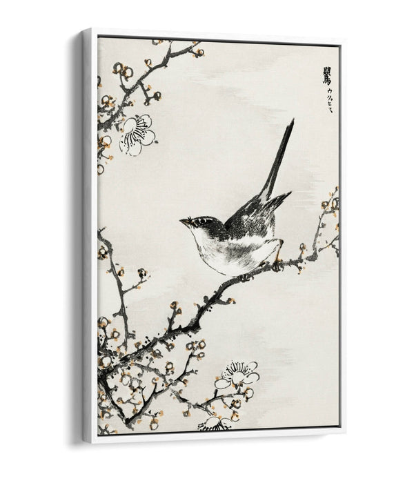 Float Effect Canvas Art - NUMATA KASHU Bush Warbler & White Plum Tree Print