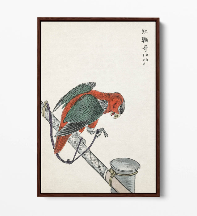 Canvas Wall Art - Macaw Float Effect Canvas Art Print | Handmade UK