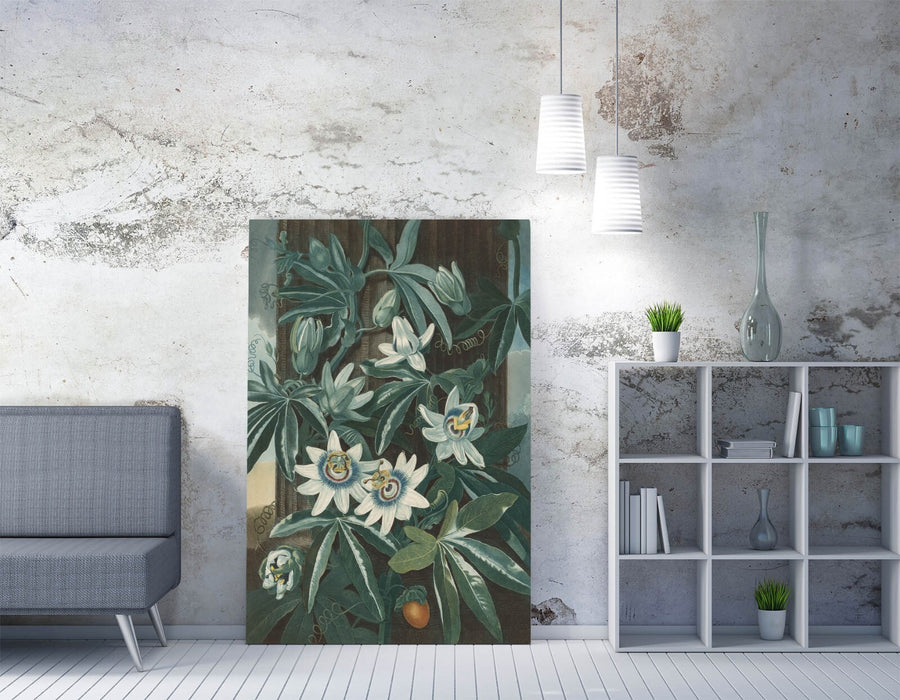 ROBERT JOHN THORNTON, BLUE PASSION FLOWER -CANVAS WALL ART PICTURE PRINT
