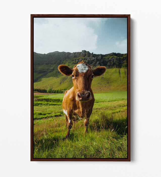 Canvas Wall Art – Brown Cow In Green Field | Handmade Float Effect Frame