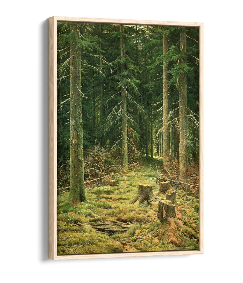 Canvas Wall Art - Ivan Shishkin Coniferous Forest Float Effect Canvas Print