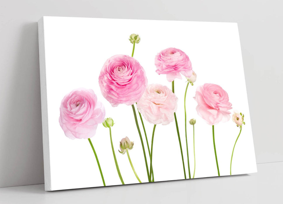 Pink Flower Canvas - Handmade Watercolor Wall Art | Vibrant Floral Canvas Print