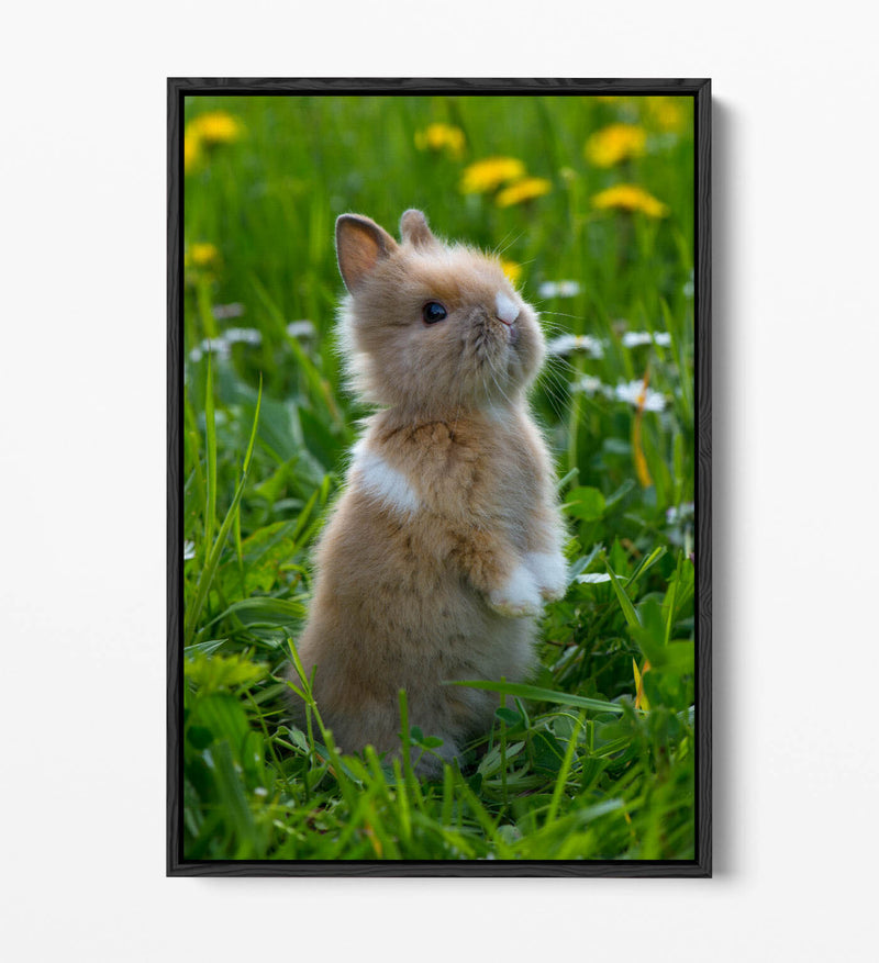 Bunny Canvas Wall Art – Cute Rabbit Home Decor With Float Effect Canvas Print