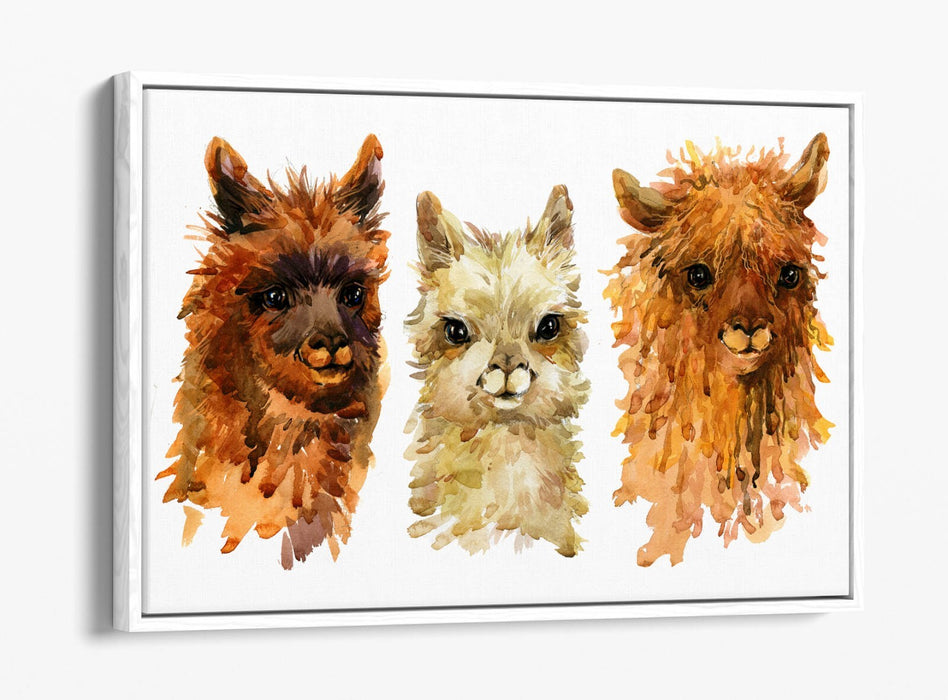 Alpaca Canvas Wall Art - Watercolour Style Float Effect Print With MDF Frame