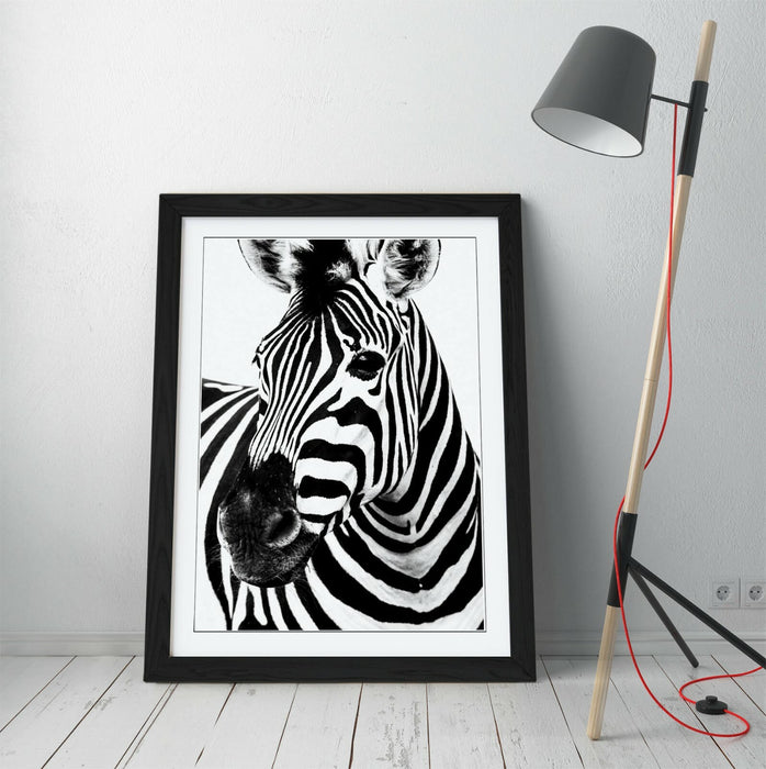 ZEBRA HEAD -FRAMED POSTER WALL ART PRINT ARTWORK- BLACK & WHITE
