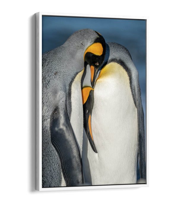Penguin Couple Canvas - Cute Animal Artwork | Float Effect Canvas Wall Art Print
