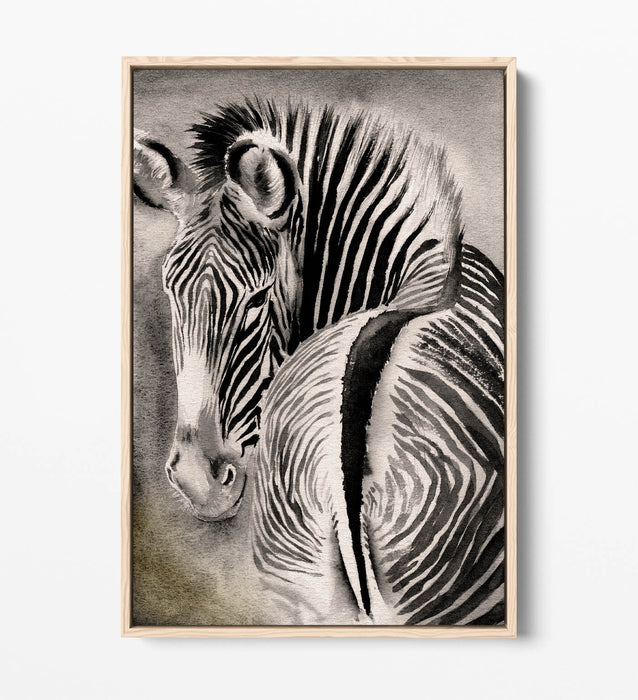 Zebra Canvas Art – Watercolor Wall Decor With Float Effect Frame, Ready To Hang