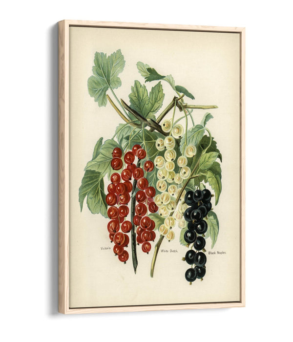 Canvas Art Print - Vintage Black Naples Float Effect Handmade Wall Art UK