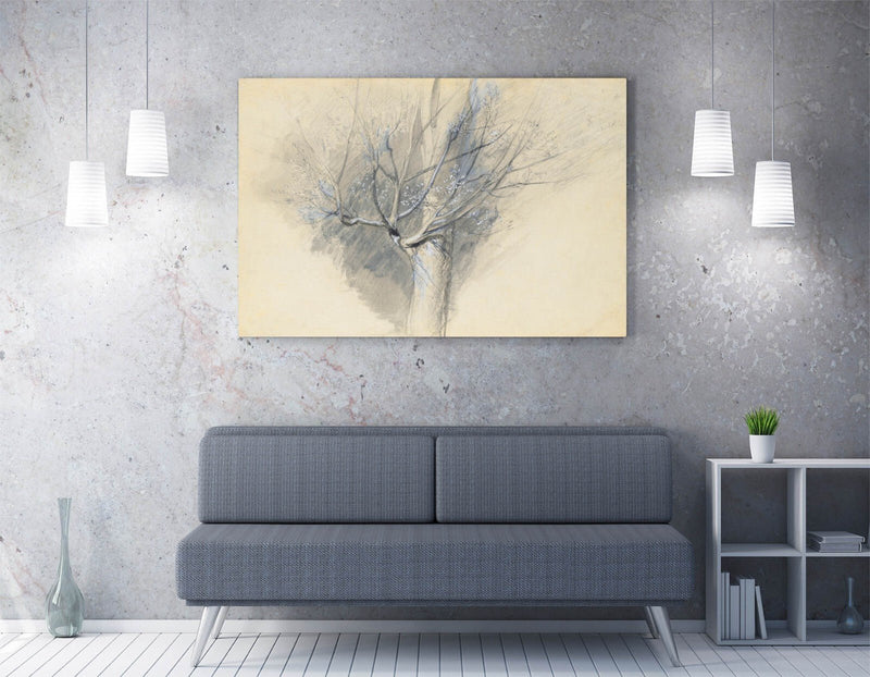 Canvas Wall Art - John Ruskin Budding Sycamore Print | Handmade Canvas Art