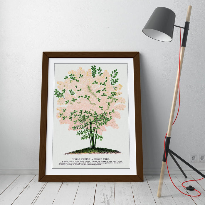 Framed Wall Art Poster - Purple Fringe Tree Print | Handmade UK Wall Art, Matte Paper