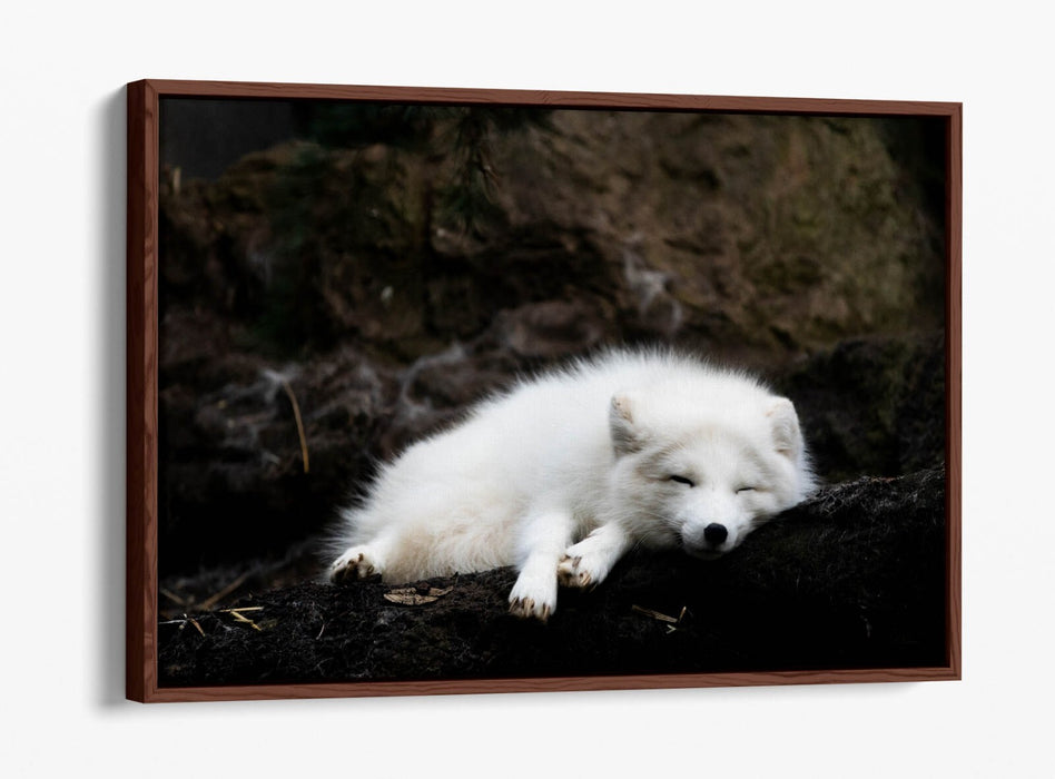 Wolf Canvas Art - Handmade Float Effect Canvas Wall Decor With Premium Frame