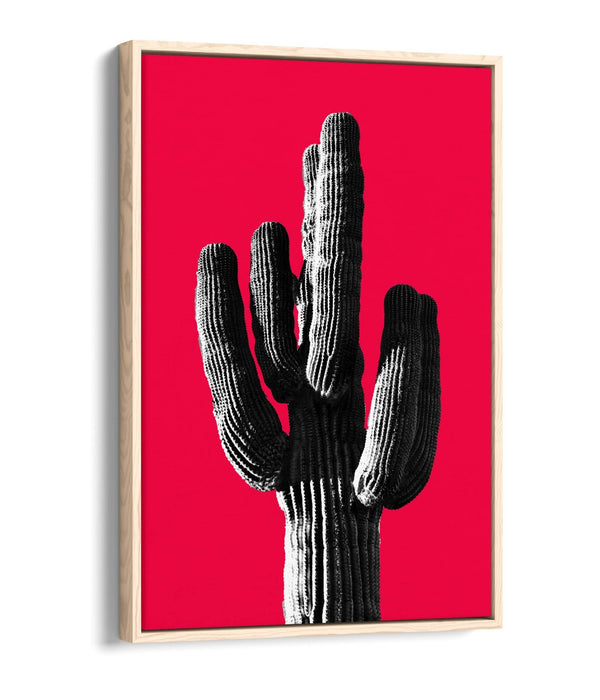 TRENDY B&W CACTUS POP ART RED -FLOAT EFFECT CANVAS WALL ART PRINT
