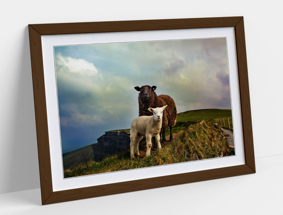 2 IRISH SHEEP MOUNTAIN LANDSCAPE HOME DECOR -FRAMED ART POSTER PICTURE PRINT