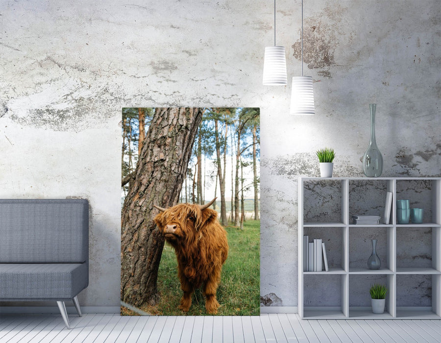 Highland Cow Canvas - Handmade Canvas Print With Scratch Resistant Finish