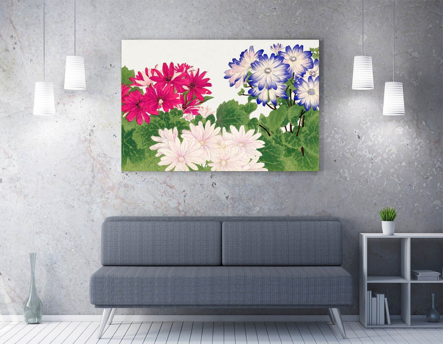 Canvas Wall Art - Vintage Cineraria Flower Print | Handmade Floral Artwork UK