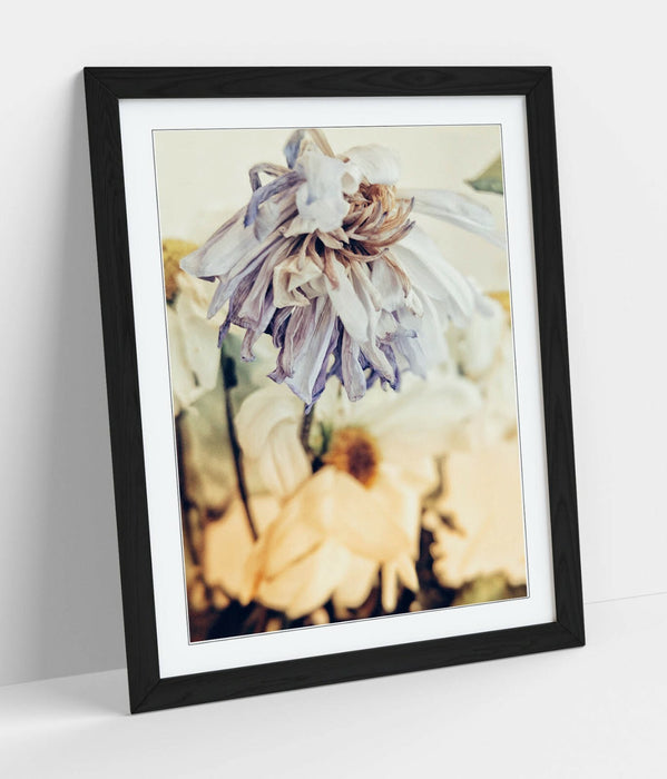 Framed Poster Art – Vintage Wall Art With Natural Wood Frame & Archival Ink Print