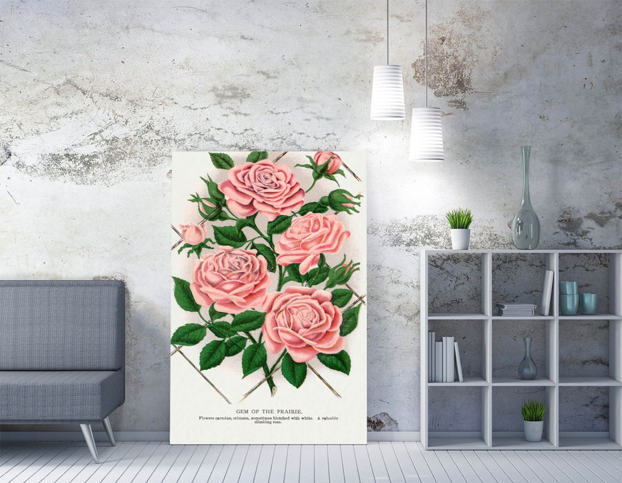 Canvas Wall Art - Pink Rose Prairie Flower Art | Handmade Floral Print Ready to Hang